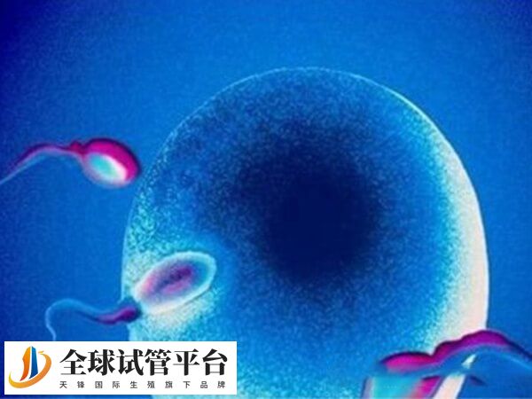 南阳中心医院可以做三代试管选性别吗？
