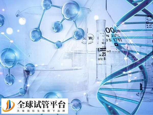 南阳有两家医院可以做试管婴儿