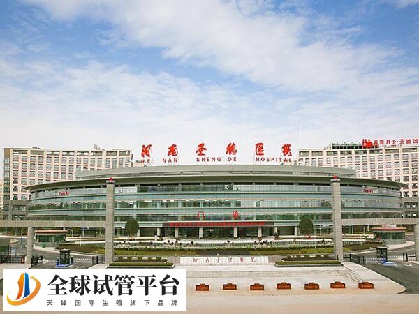 张丽是河南圣德医院生殖中心主任