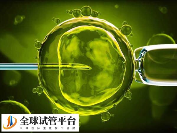 罗山县人民医院没有开展试管婴儿相关技术