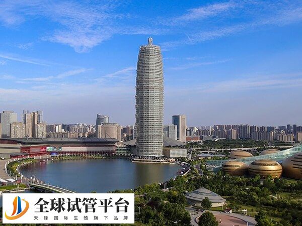 河南省权威的试管婴儿医院有哪些？