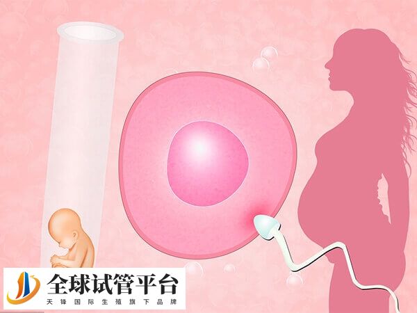 河北省生殖健康医院可以做一二代试管