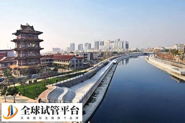 石家庄有2家医院可以做三代试管