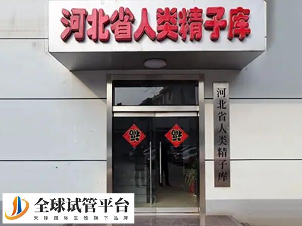 单身女性不能在精子库<font color=