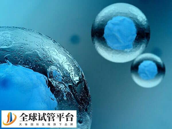 国内卵源供应不足