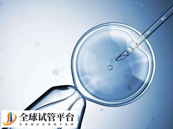 唐山妇幼保健院试管婴儿用麻醉取卵要多少钱？