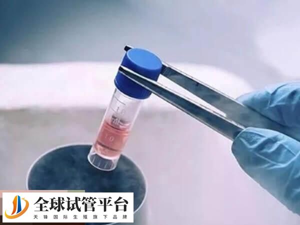 冷冻技术可以安全保存胚胎