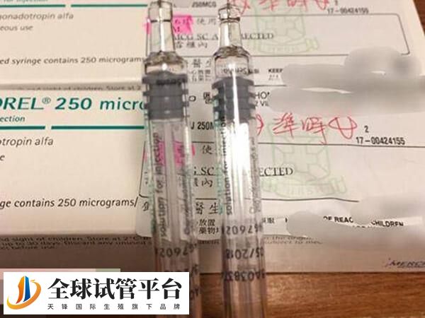 PPOS方案是指人工黄体方案