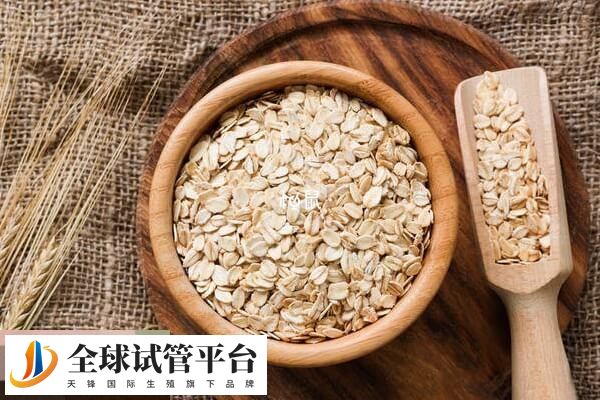 试管移植后要补充丰富的营养