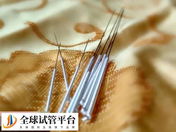 针灸可以调和阴阳