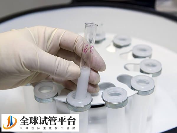 郑州市妇幼保健院试管技术是第三代吗？