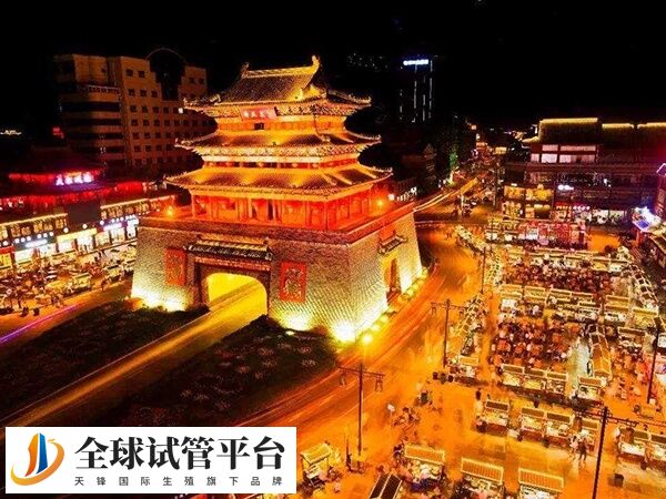 开封没有试管婴儿医院