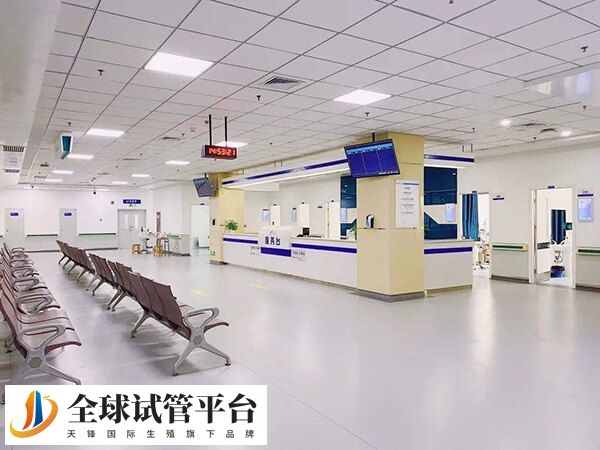 河南大学第一附属医院做一次试管婴儿的费用是多少？