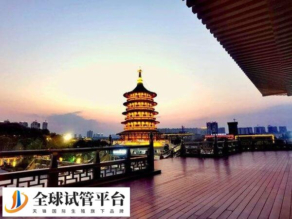 洛阳有两家公立医院可以做试管婴儿