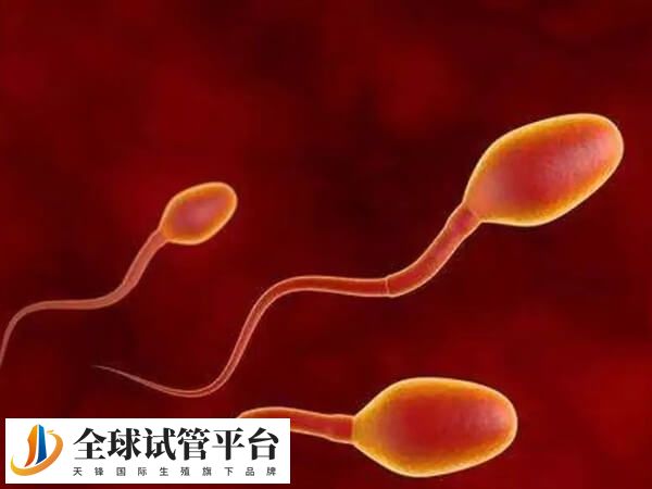 洛阳妇幼可以供精做供精试管婴儿吗？