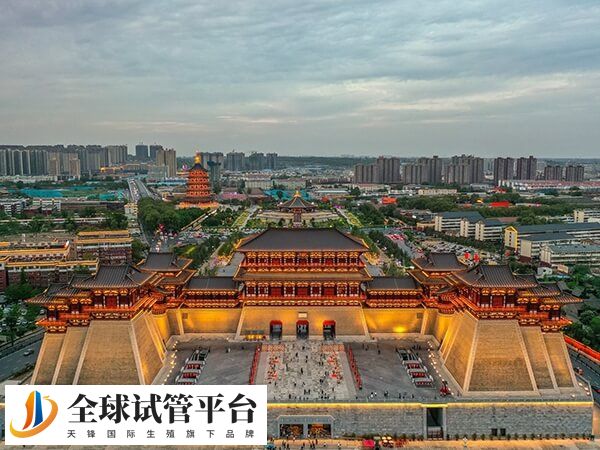 洛阳本地做试管选三院好还是妇幼好？