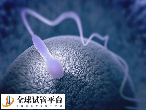 平顶山妇幼保健院生殖科做一次供卵试管婴儿要花多少钱？