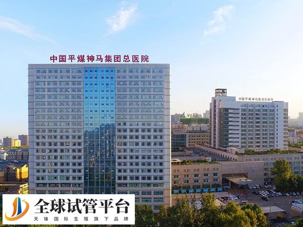 平煤总医院