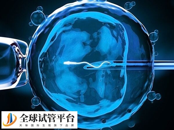 安阳妇幼试管移植的手术费用在八千元左右