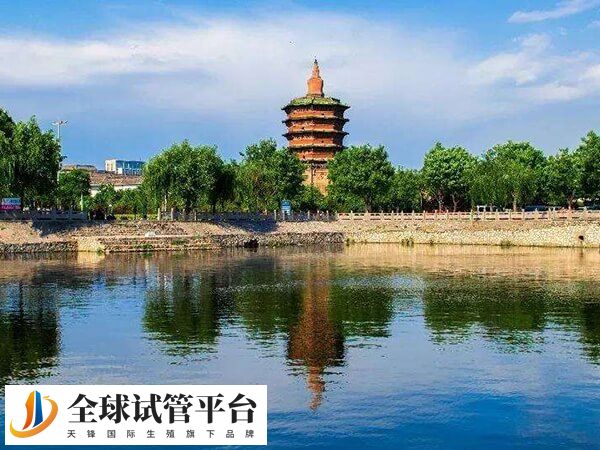 安阳没有试管婴儿医院