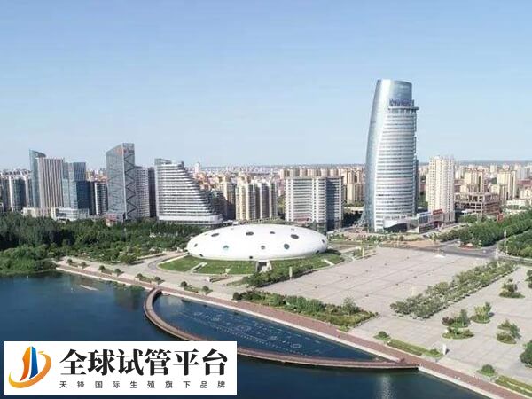 鹤壁正规医院做一次供卵试管婴儿要花多少钱？