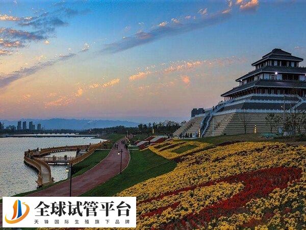 鹤壁做试管婴儿哪家医院好？市人民医院怎么样？