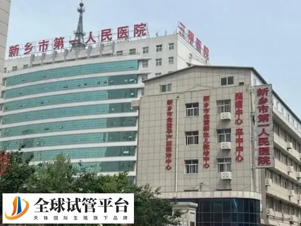 新乡市第一人民医院做试管婴儿需要先预付多少费用？