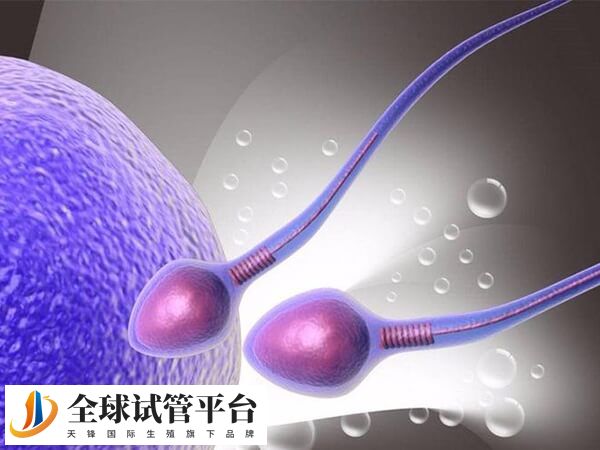 新乡有3家医院可以做人授