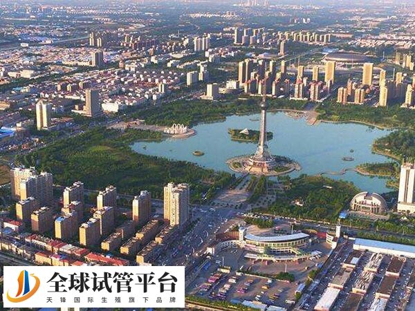 焦作没有医院可以做供精试管