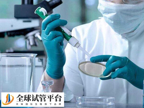 濮阳做试管婴儿选妇幼好还是人民医院好？