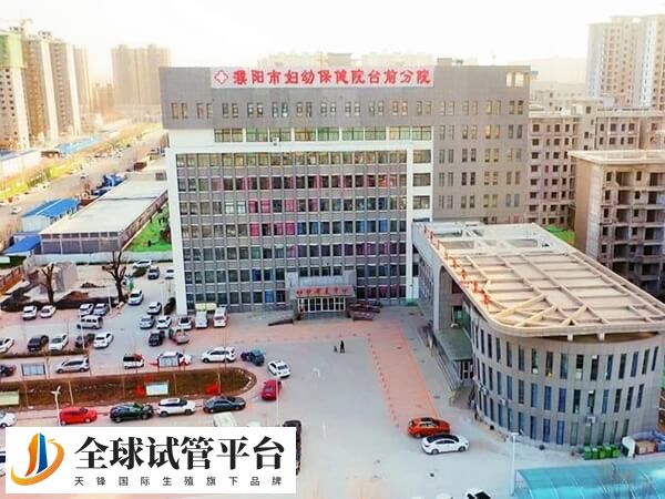 濮阳市妇幼保健院生殖科试管如何？是第几代技术？