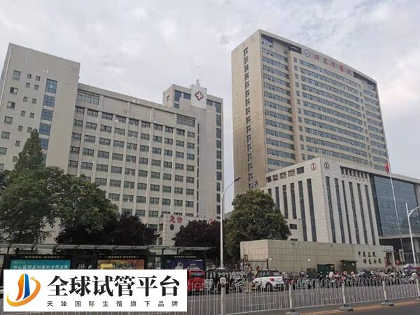 许昌中医院可看不孕不育