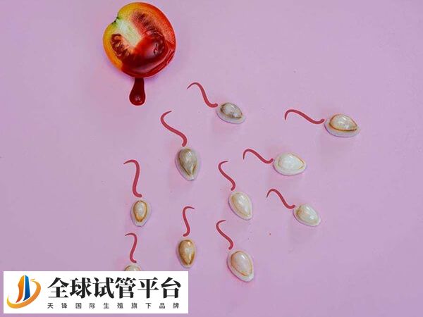 试管费用与精子卵子质量挂钩