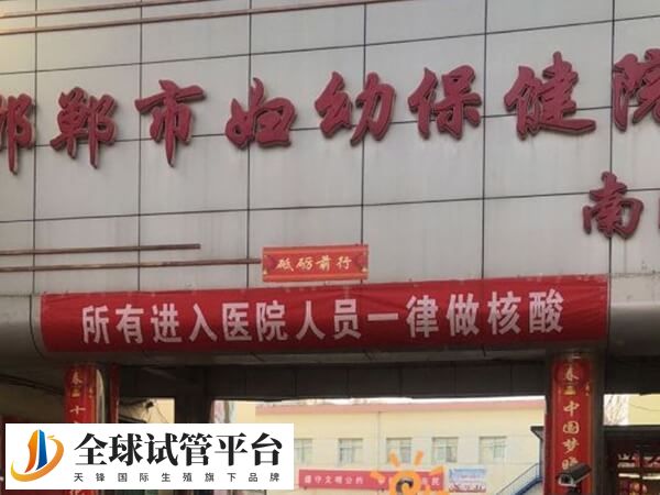 邯郸市妇幼保健院生殖科哪个医生试管移植技术比较好？