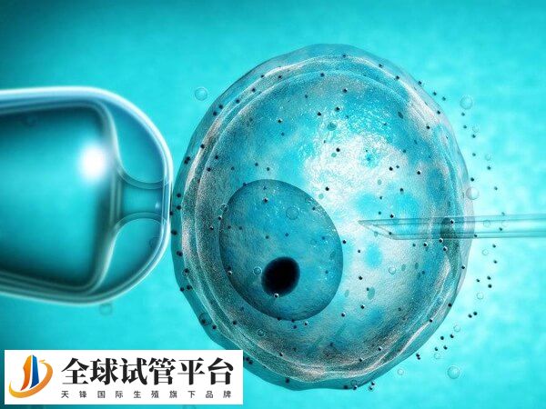 试管婴儿促排过程花费较高