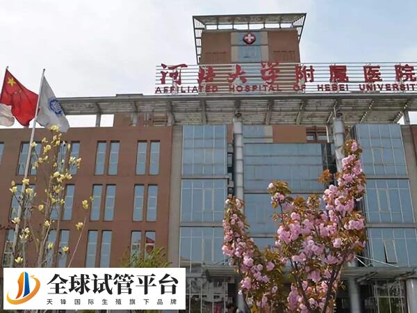 河北大学附属医院能做人工授精