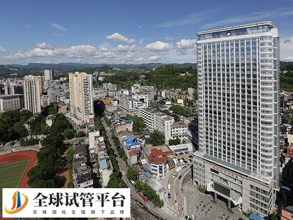 恩施州中心医院是几级？