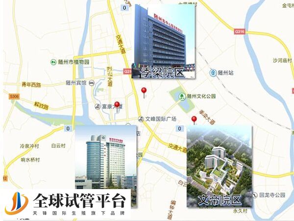 随州市中心医院是三甲公立医院吗？