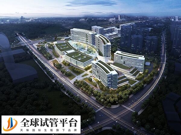 宜宾有做二代试管婴儿的三甲医院吗？