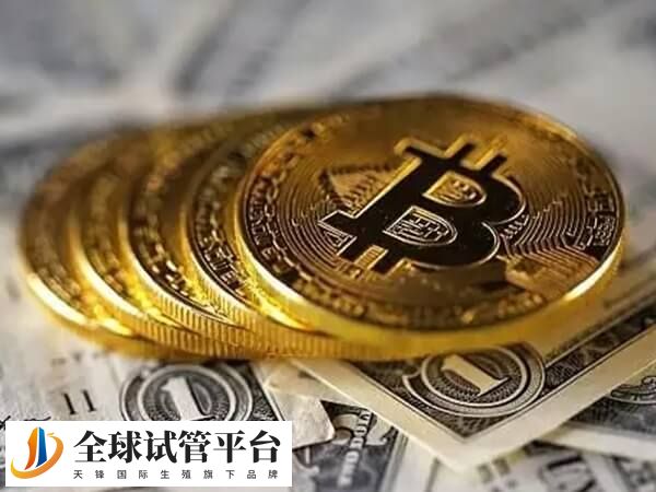 保定市妇幼保健院试管婴儿移植一次手术费用大约多少钱？