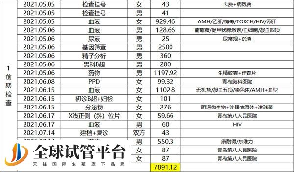 前期检查花费情况表
