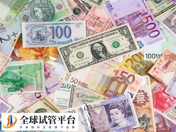 保定妇幼保健院供卵试管婴儿费用表，贵的是等待时间成本