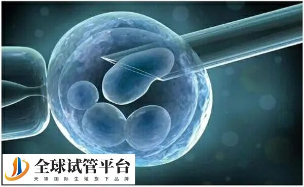 在承德公立医院做试管婴儿生双胞胎，费用大约要多少？