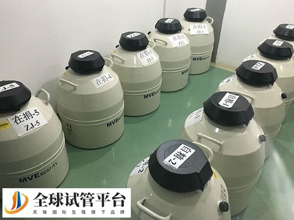 精子库里的精子是捐献的