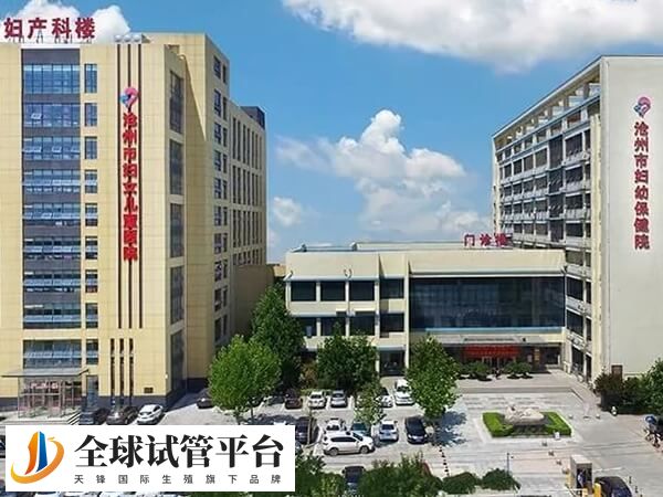 沧州市哪个私立生殖医院看不孕不育好？