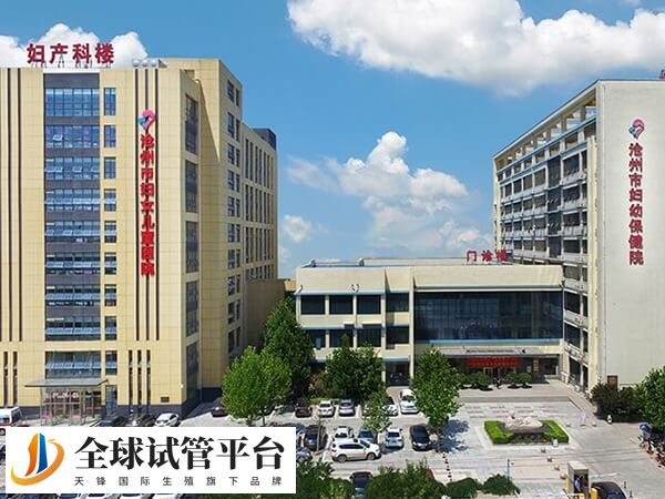 沧州妇幼生殖科哪个大夫做试管婴儿好？彭志娜医生怎么样？