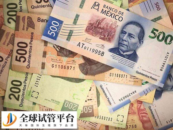 沧州二医院做试管婴儿单周期费用需要多少？