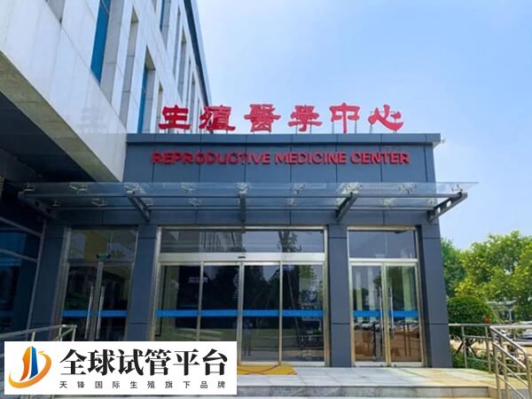 廊坊哪个医院包试管成功？