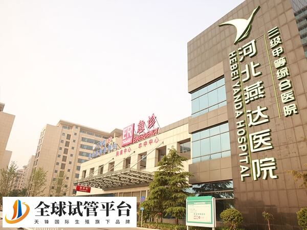 河北燕达医院做试管婴儿单次胚胎移植费用要多少？