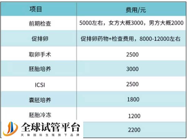 河北燕达医院试管婴儿收费参考标准